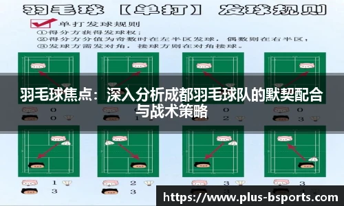 羽毛球焦点：深入分析成都羽毛球队的默契配合与战术策略