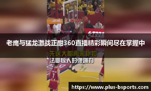 B体育