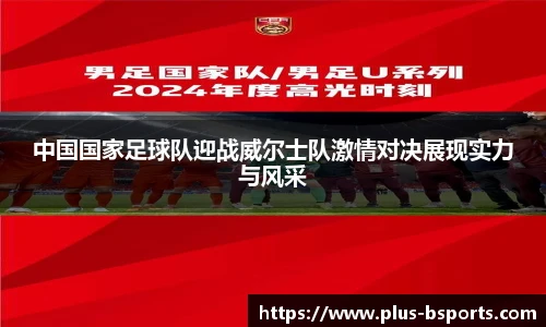 B体育